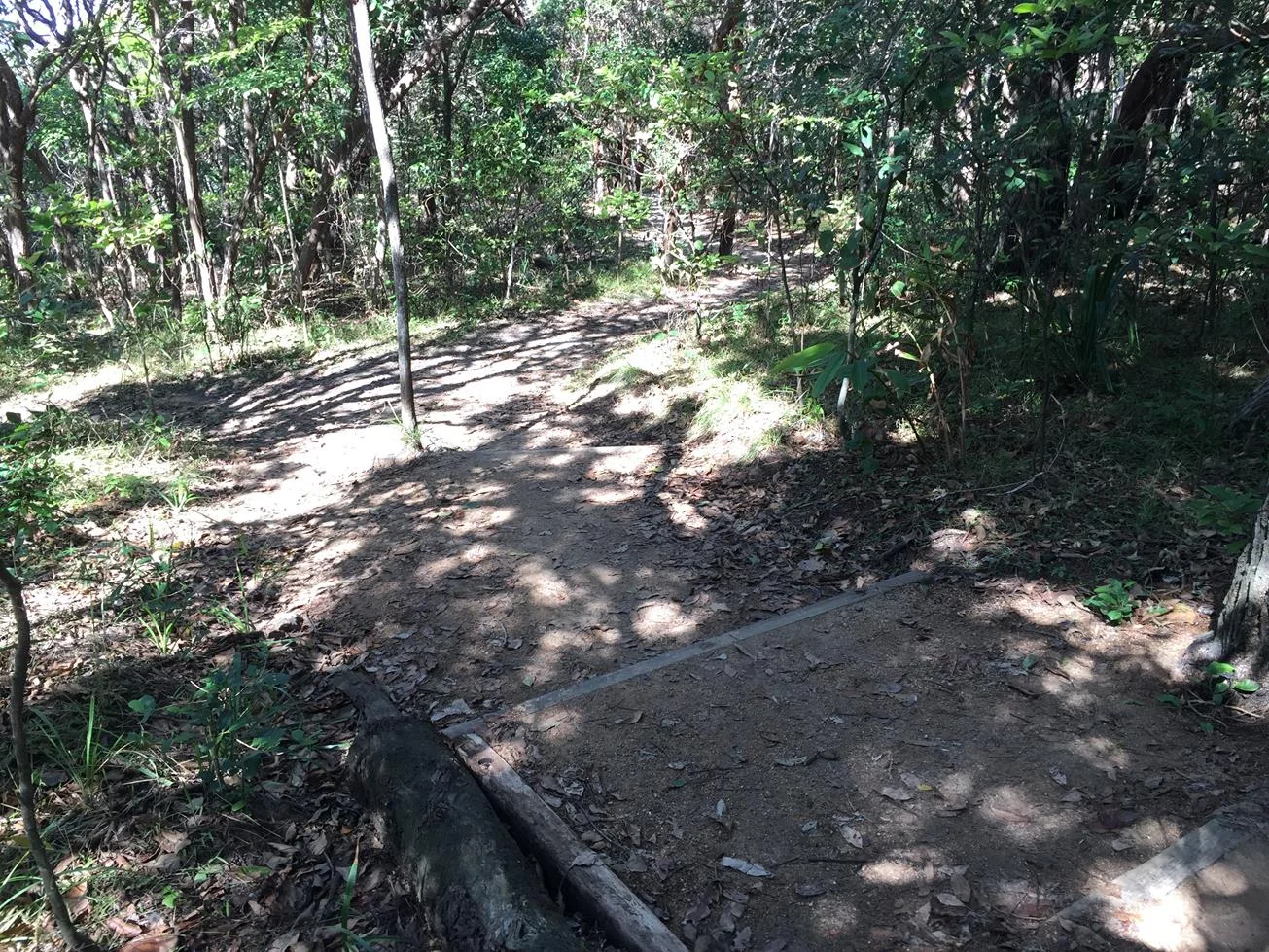 Adventure time The Point Arkwright trail